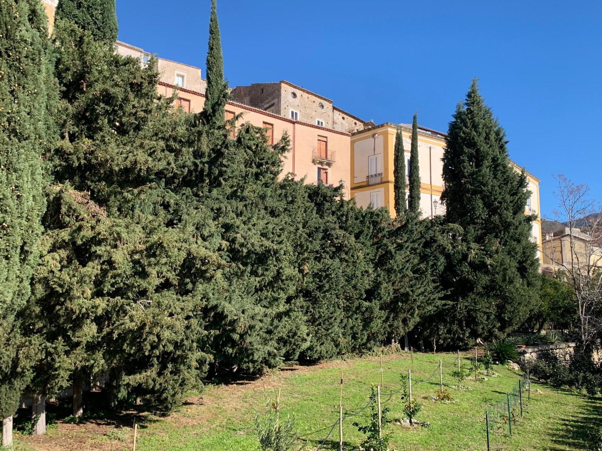Apartamento Palazzo Carratelli Amantea Exterior foto
